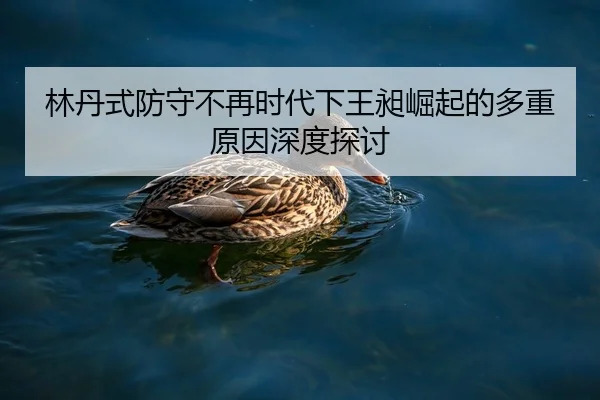 林丹式防守不再时代下王昶崛起的多重原因深度探讨
